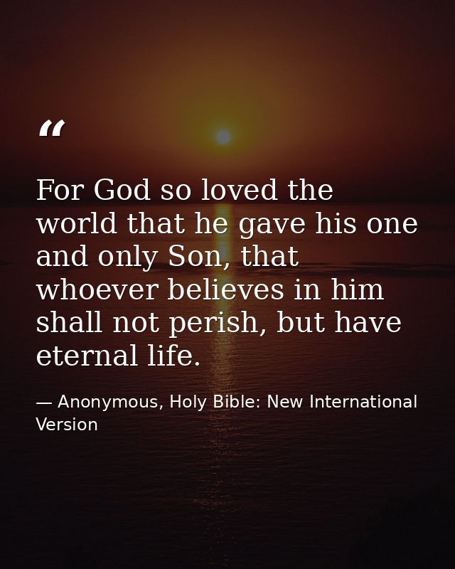 For God so loved the world that he gave his one and only Son, that whoever believes in him shall not perish, but have et — Anonymous, Holy Bible: New International Version