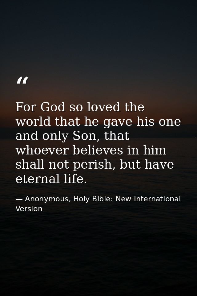 For God so loved the world that he gave his one and only Son, that whoever believes in him shall not perish, but have et — Anonymous, Holy Bible: New International Version