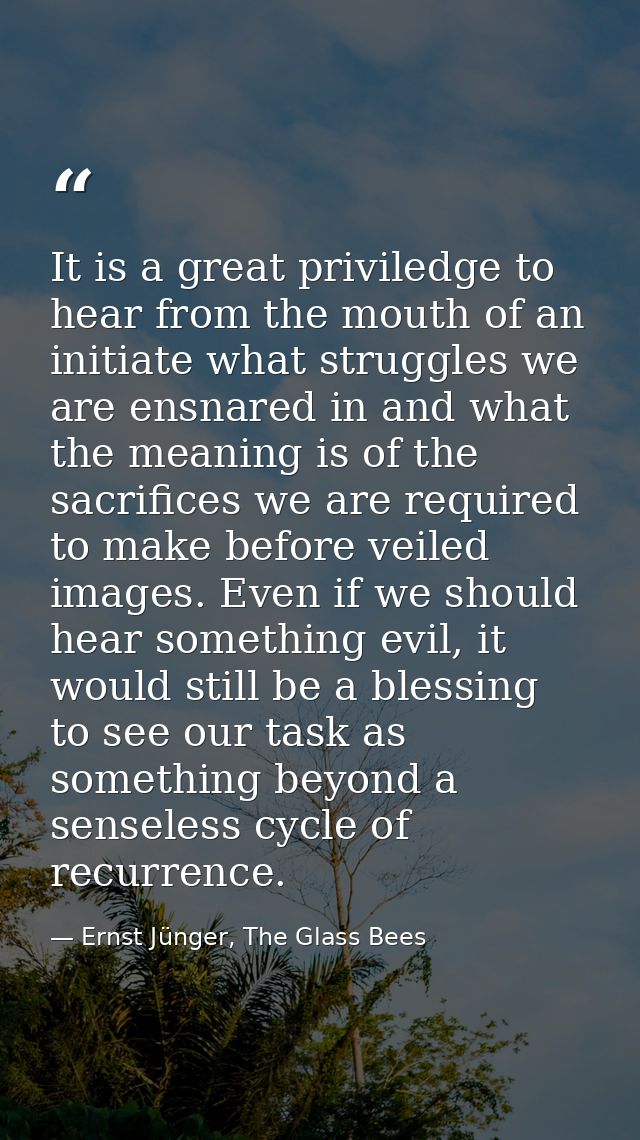 It is a great priviledge to hear from the mouth of an initiate what struggles we are ensnared in and what the meaning is — Ernst Jünger, The Glass Bees