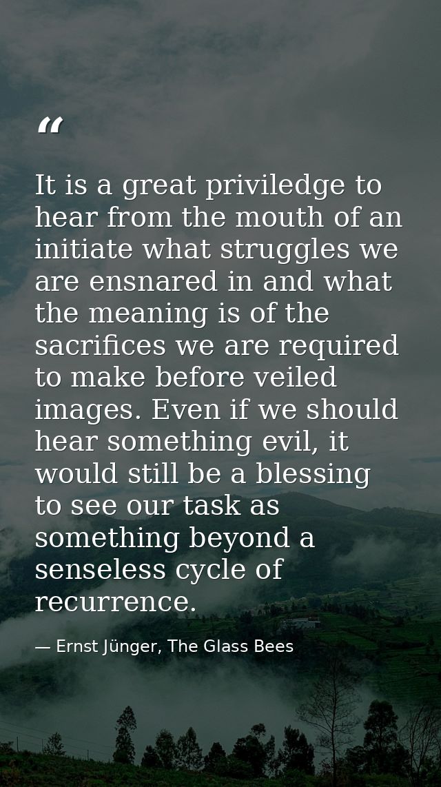It is a great priviledge to hear from the mouth of an initiate what struggles we are ensnared in and what the meaning is — Ernst Jünger, The Glass Bees