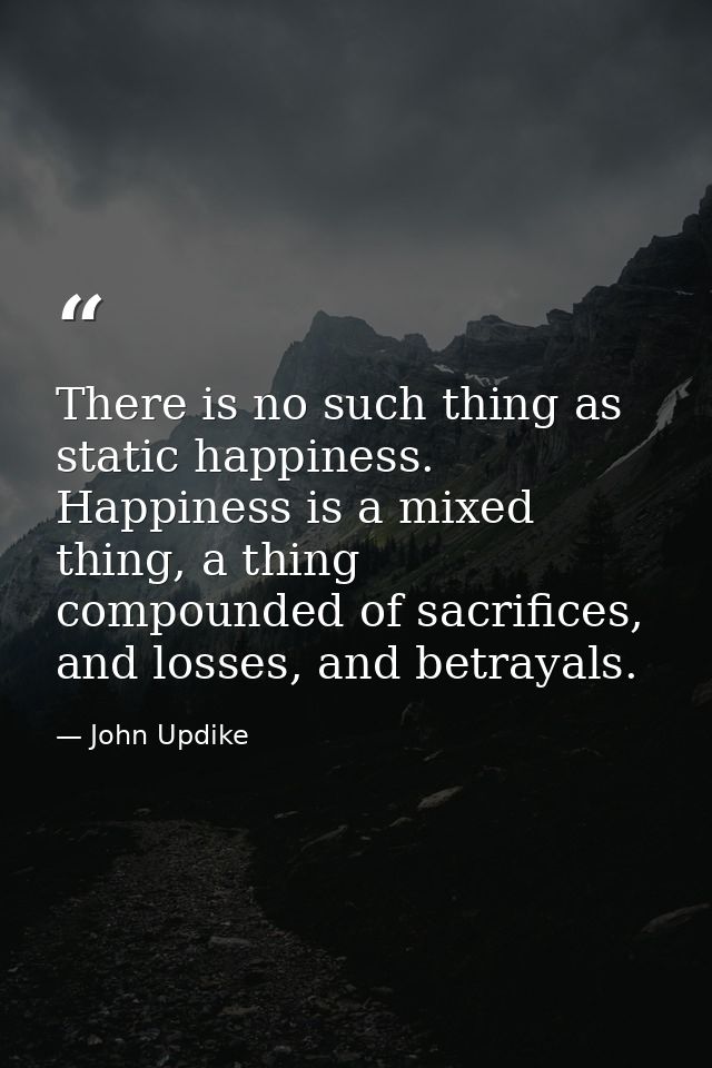 There is no such thing as static happiness. Happiness is a mixed thing, a thing compounded of sacrifices, and losses, an — John Updike