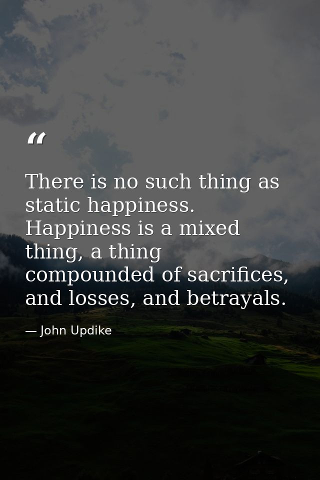 There is no such thing as static happiness. Happiness is a mixed thing, a thing compounded of sacrifices, and losses, an — John Updike