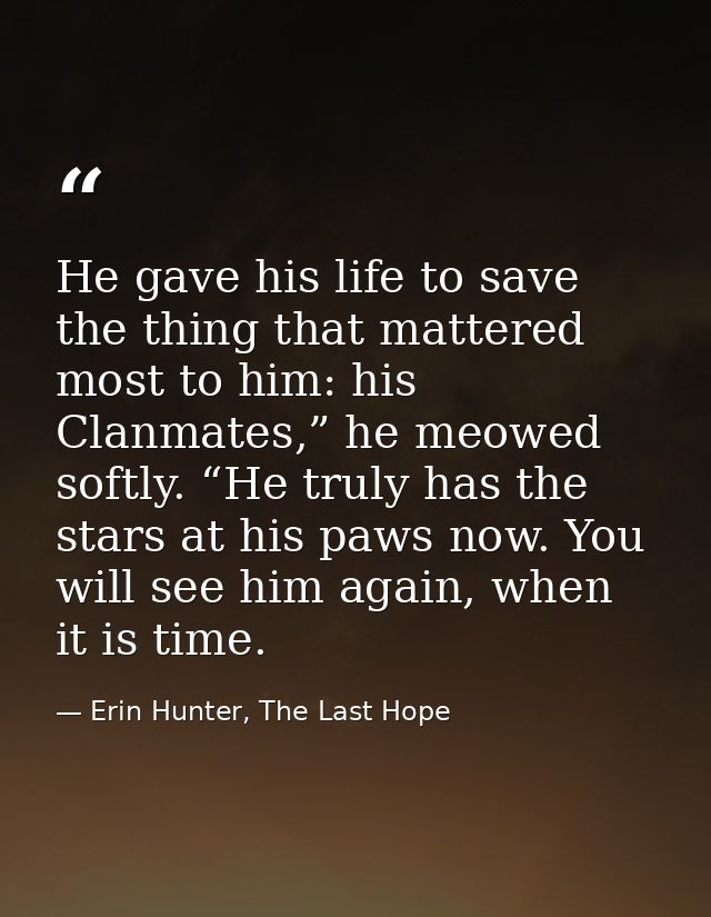 He gave his life to save the thing that mattered most to him: his Clanmates,” he meowed softly. “He truly has the stars  — Erin Hunter, The Last Hope