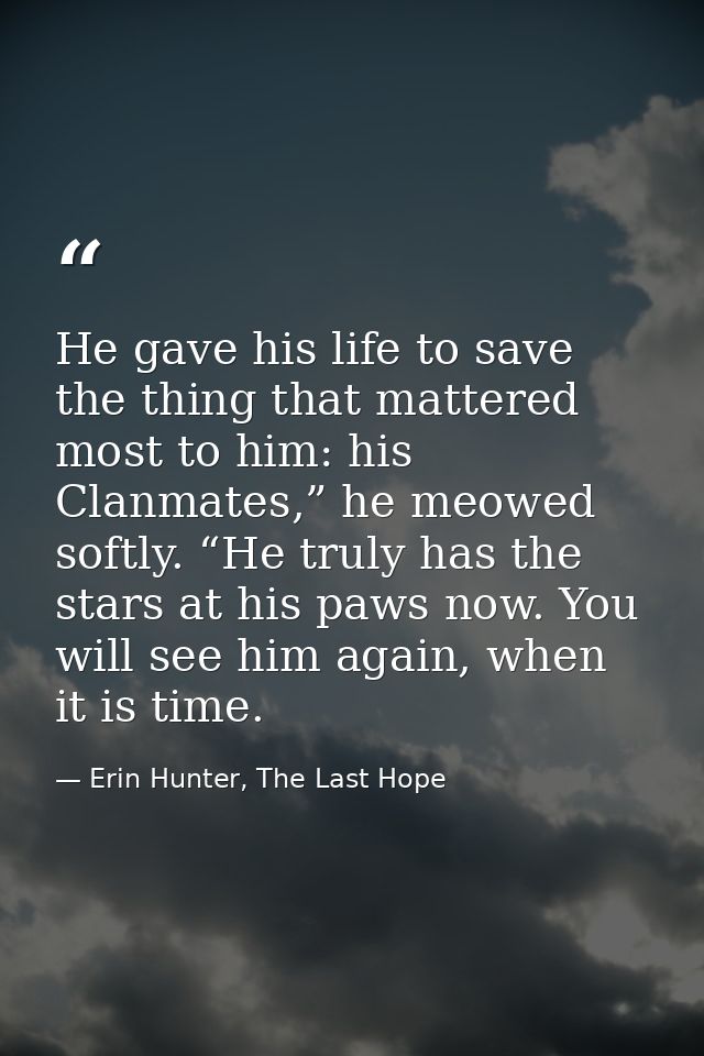 He gave his life to save the thing that mattered most to him: his Clanmates,” he meowed softly. “He truly has the stars  — Erin Hunter, The Last Hope