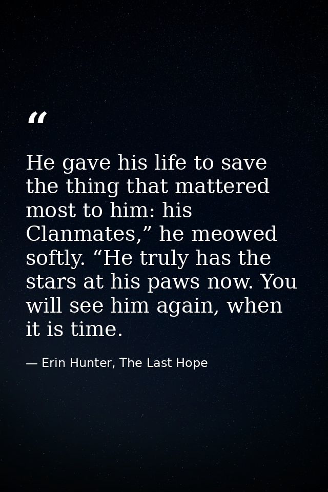He gave his life to save the thing that mattered most to him: his Clanmates,” he meowed softly. “He truly has the stars  — Erin Hunter, The Last Hope