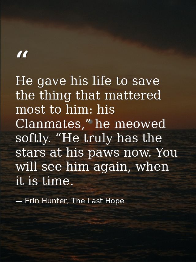 He gave his life to save the thing that mattered most to him: his Clanmates,” he meowed softly. “He truly has the stars  — Erin Hunter, The Last Hope