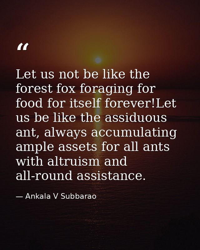 Let us not be like the forest fox foraging for food for itself forever!Let us be like the assiduous ant, always accumula — Ankala V Subbarao
