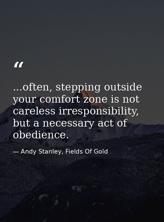 ...often, stepping outside your comfort zone is not careless irresponsibility, but a necessary act of obedience. — Andy Stanley, Fields Of Gold