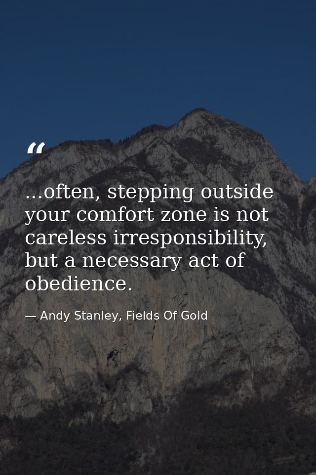 ...often, stepping outside your comfort zone is not careless irresponsibility, but a necessary act of obedience. — Andy Stanley, Fields Of Gold