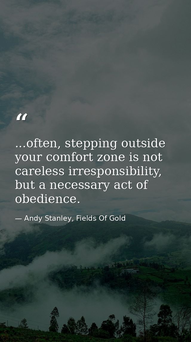 ...often, stepping outside your comfort zone is not careless irresponsibility, but a necessary act of obedience. — Andy Stanley, Fields Of Gold