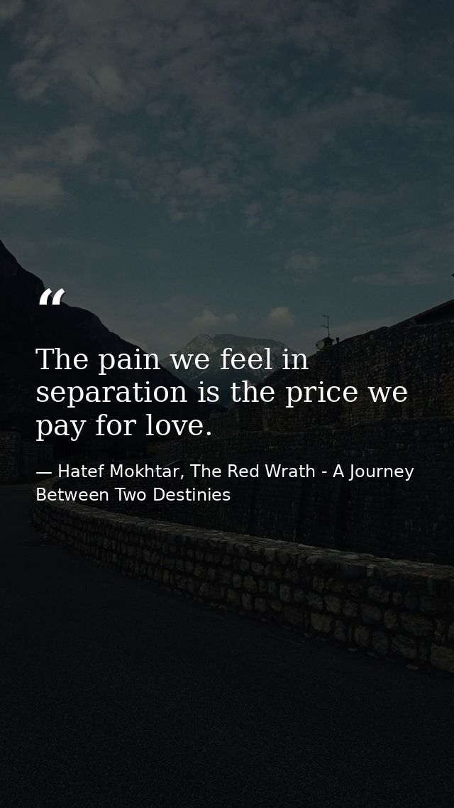 The pain we feel in separation is the price we pay for love. — Hatef Mokhtar, The Red Wrath - A Journey Between Two Destinies