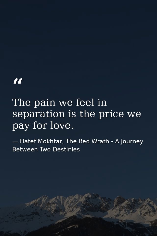 The pain we feel in separation is the price we pay for love. — Hatef Mokhtar, The Red Wrath - A Journey Between Two Destinies
