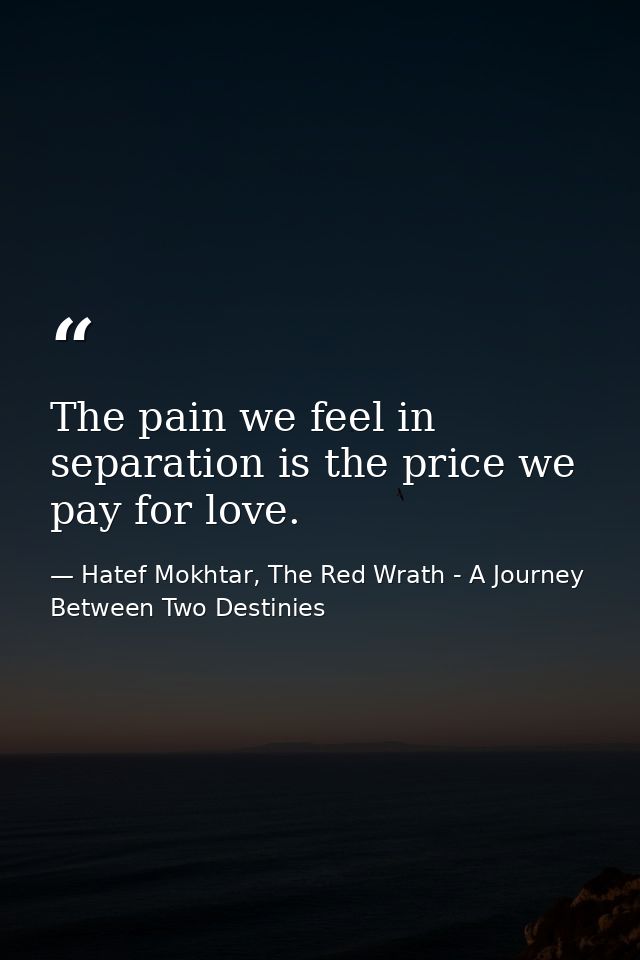 The pain we feel in separation is the price we pay for love. — Hatef Mokhtar, The Red Wrath - A Journey Between Two Destinies