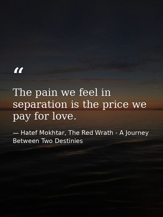 The pain we feel in separation is the price we pay for love. — Hatef Mokhtar, The Red Wrath - A Journey Between Two Destinies
