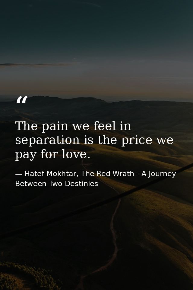 The pain we feel in separation is the price we pay for love. — Hatef Mokhtar, The Red Wrath - A Journey Between Two Destinies