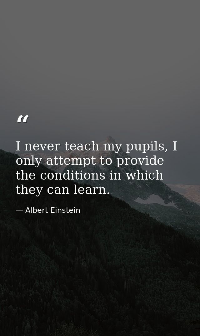 I never teach my pupils, I only attempt to provide the conditions in which they can learn. — Albert Einstein