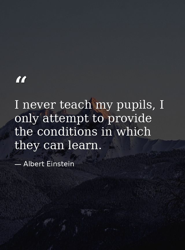 I never teach my pupils, I only attempt to provide the conditions in which they can learn. — Albert Einstein
