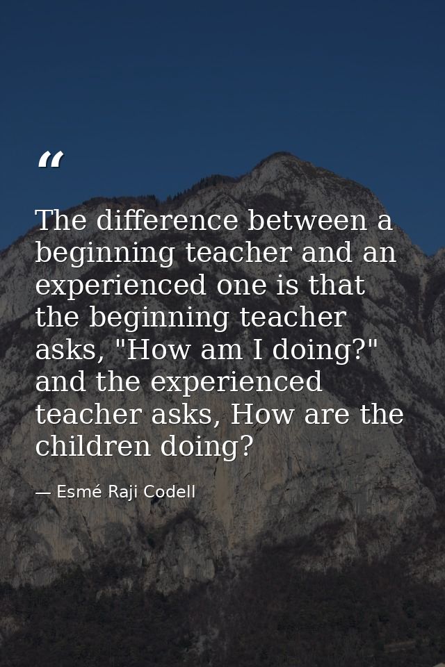The difference between a beginning teacher and an experienced one is that the beginning teacher asks, "How am I doing?"  — Esmé Raji Codell