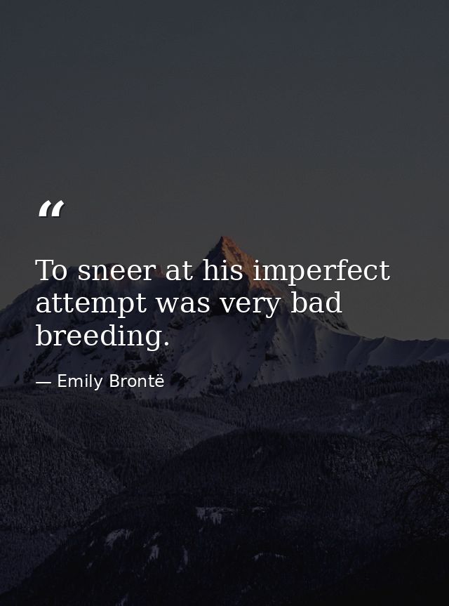 To sneer at his imperfect attempt was very bad breeding. — Emily Brontë