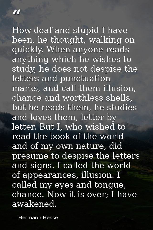 How deaf and stupid I have been, he thought, walking on quickly. When anyone reads anything which he wishes to study, he — Hermann Hesse