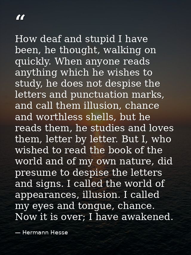 How deaf and stupid I have been, he thought, walking on quickly. When anyone reads anything which he wishes to study, he — Hermann Hesse