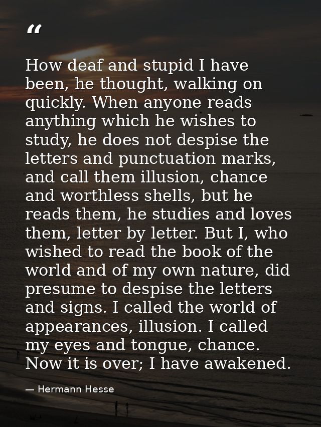 How deaf and stupid I have been, he thought, walking on quickly. When anyone reads anything which he wishes to study, he — Hermann Hesse