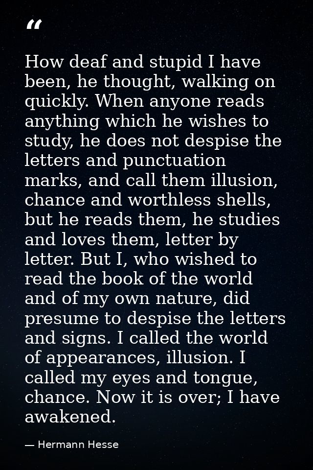 How deaf and stupid I have been, he thought, walking on quickly. When anyone reads anything which he wishes to study, he — Hermann Hesse
