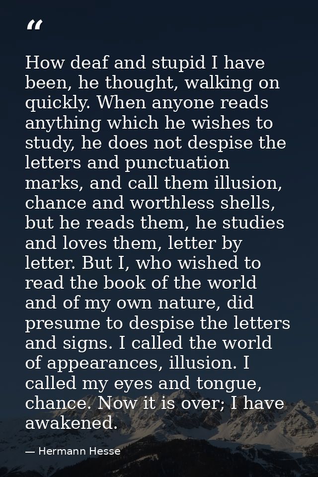 How deaf and stupid I have been, he thought, walking on quickly. When anyone reads anything which he wishes to study, he — Hermann Hesse
