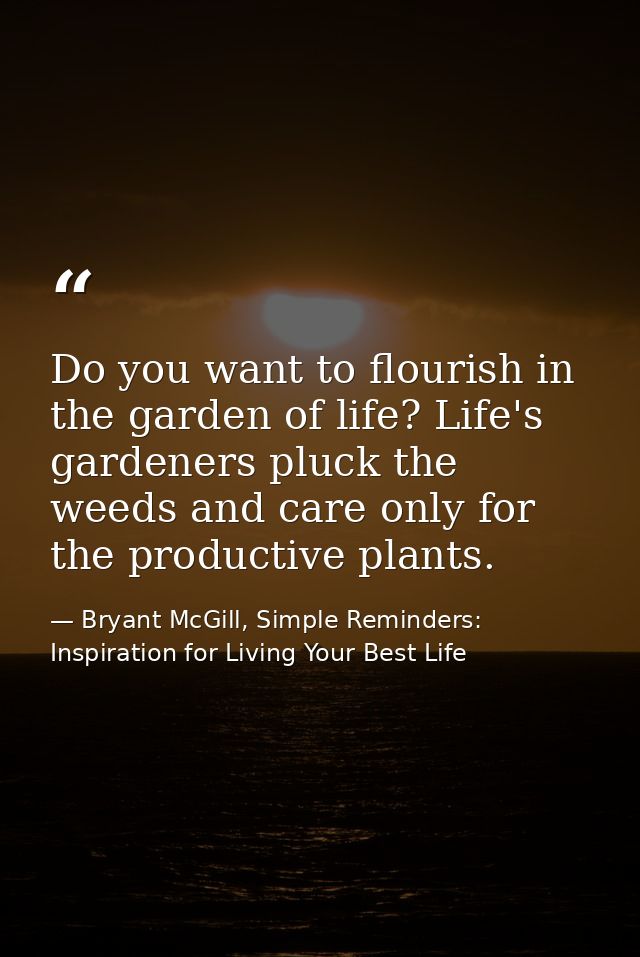 Do you want to flourish in the garden of life? Life's gardeners pluck the weeds and care only for the productive plants. — Bryant McGill, Simple Reminders: Inspiration for Living Your Best Life