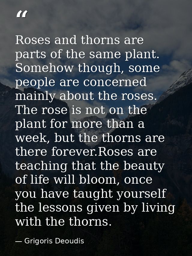 Roses and thorns are parts of the same plant. Somehow though, some people are concerned mainly about the roses. The rose — Grigoris Deoudis