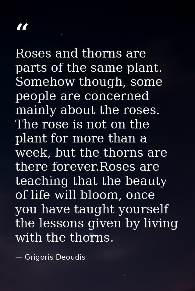 Roses and thorns are parts of the same plant. Somehow though, some people are concerned mainly about the roses. The rose — Grigoris Deoudis