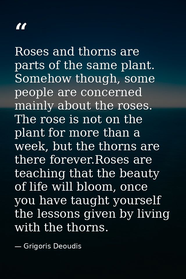 Roses and thorns are parts of the same plant. Somehow though, some people are concerned mainly about the roses. The rose — Grigoris Deoudis