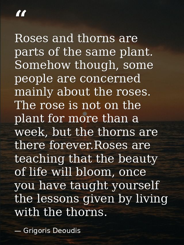 Roses and thorns are parts of the same plant. Somehow though, some people are concerned mainly about the roses. The rose — Grigoris Deoudis