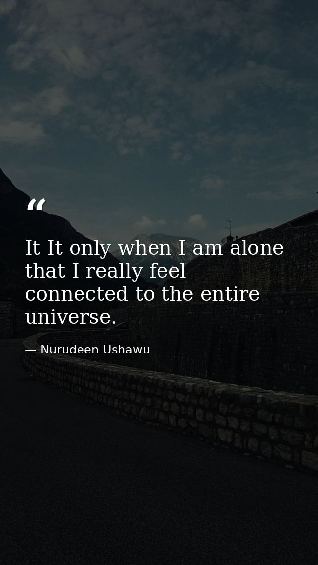 It It only when I am alone that I really feel connected to the entire universe. — Nurudeen Ushawu