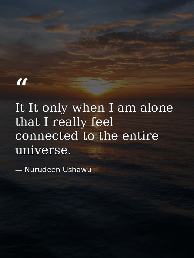 It It only when I am alone that I really feel connected to the entire universe. — Nurudeen Ushawu