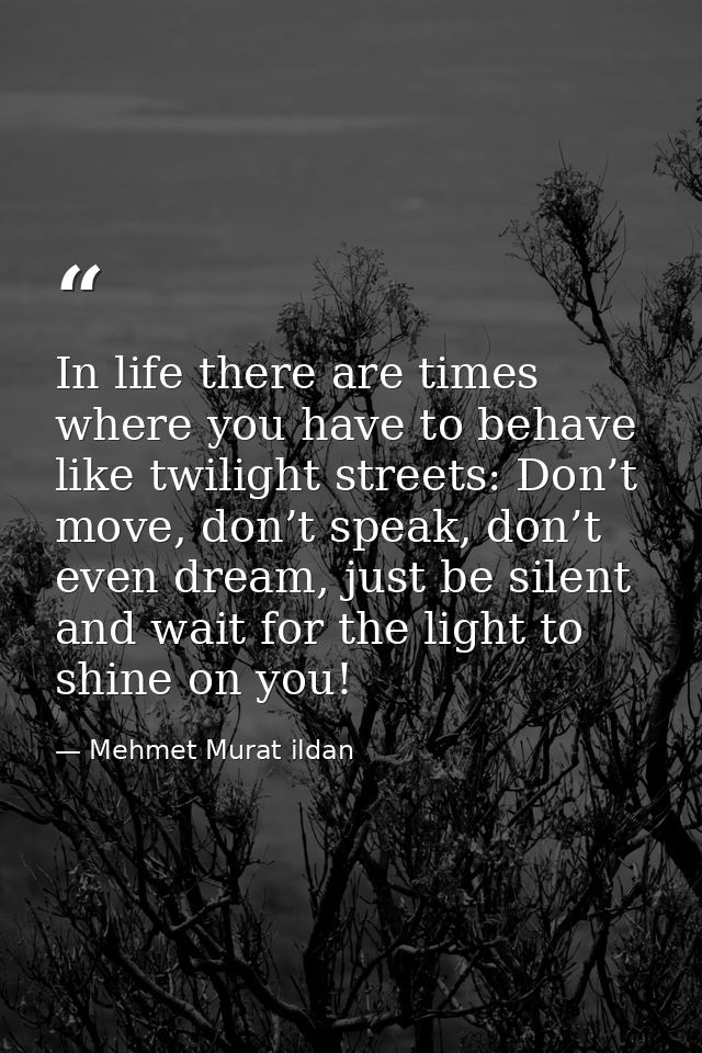 In life there are times where you have to behave like twilight streets: Don’t move, don’t speak, don’t even dream, just  — Mehmet Murat ildan