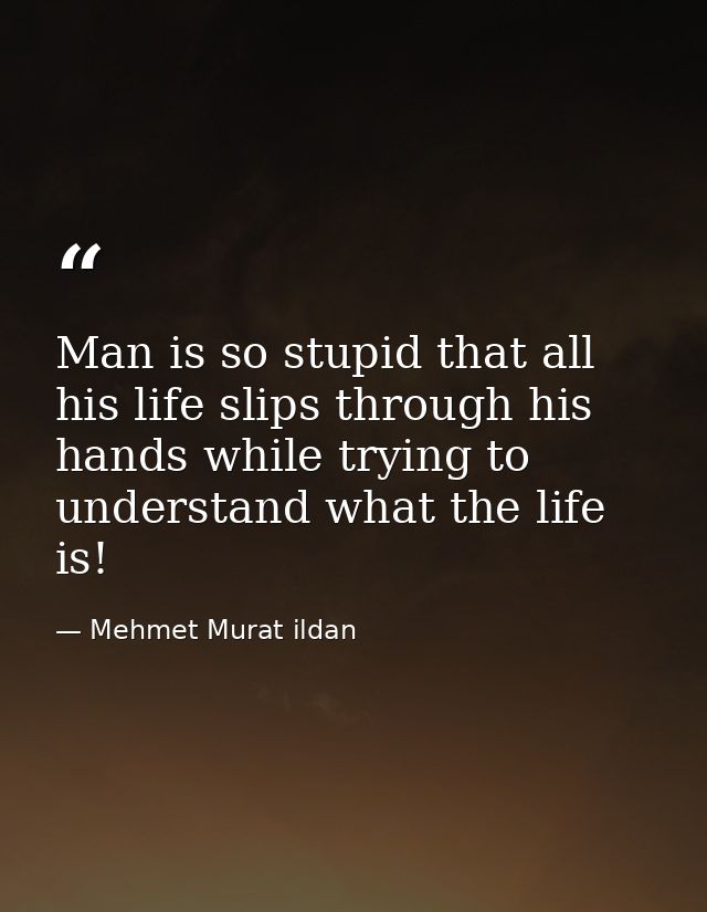 Man is so stupid that all his life slips through his hands while trying to understand what the life is! — Mehmet Murat ildan