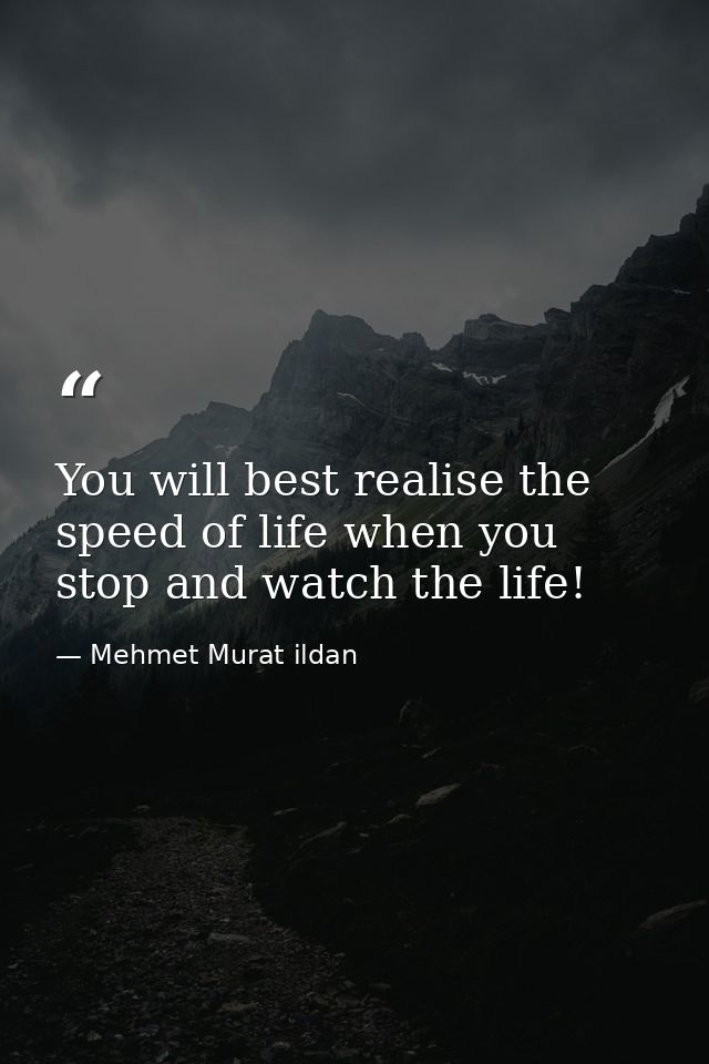 You will best realise the speed of life when you stop and watch the life! — Mehmet Murat ildan
