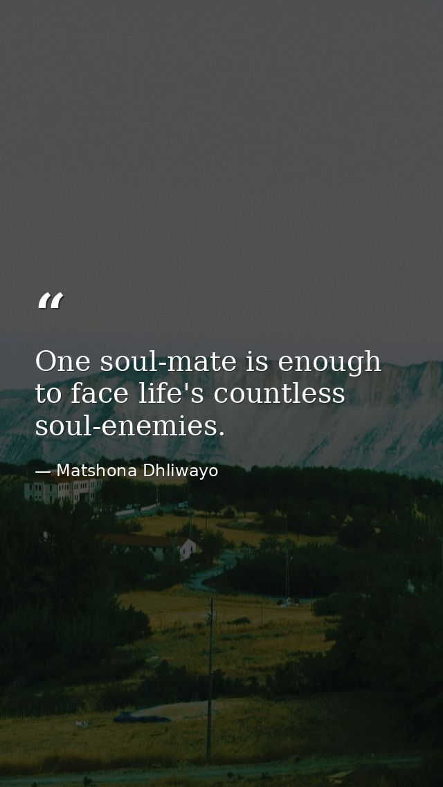 One soul-mate is enough to face life's countless soul-enemies. — Matshona Dhliwayo