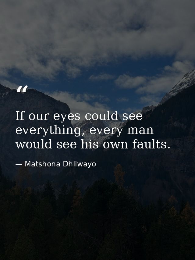 If our eyes could see everything, every man would see his own faults. — Matshona Dhliwayo