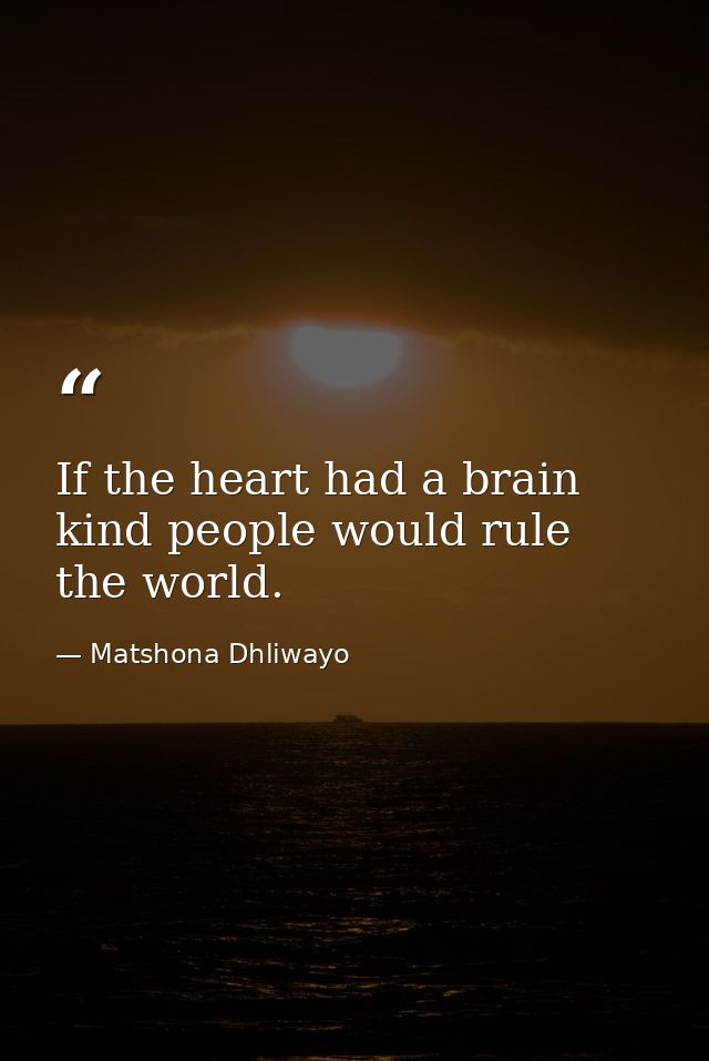 If the heart had a brain kind people would rule the world. — Matshona Dhliwayo