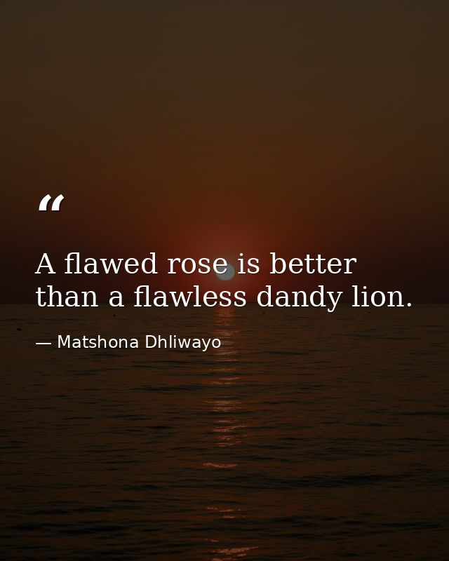 A flawed rose is better than a flawless dandy lion. — Matshona Dhliwayo