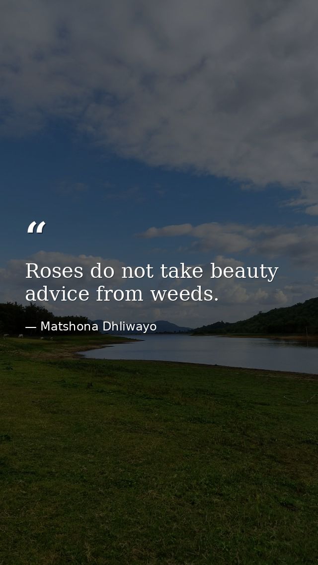 Roses do not take beauty advice from weeds. — Matshona Dhliwayo