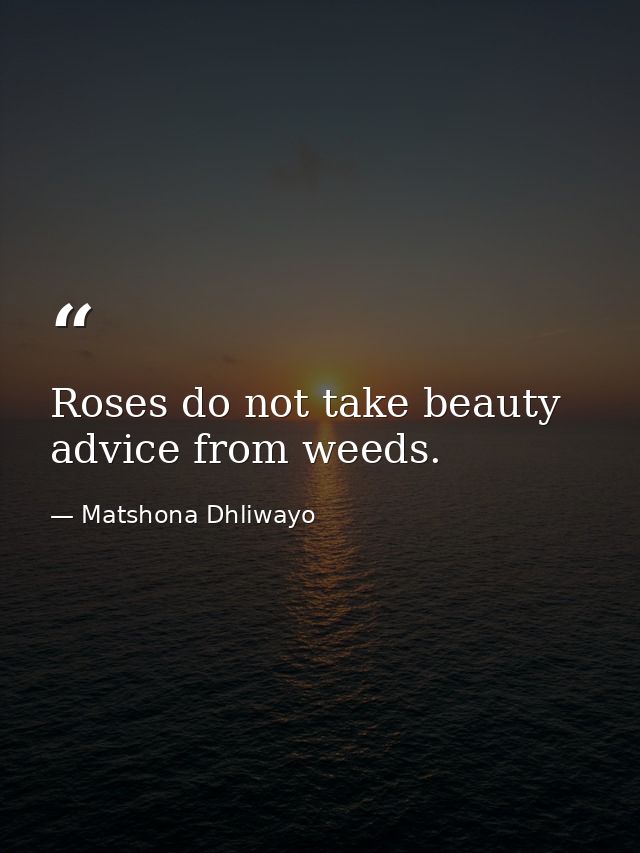 Roses do not take beauty advice from weeds. — Matshona Dhliwayo