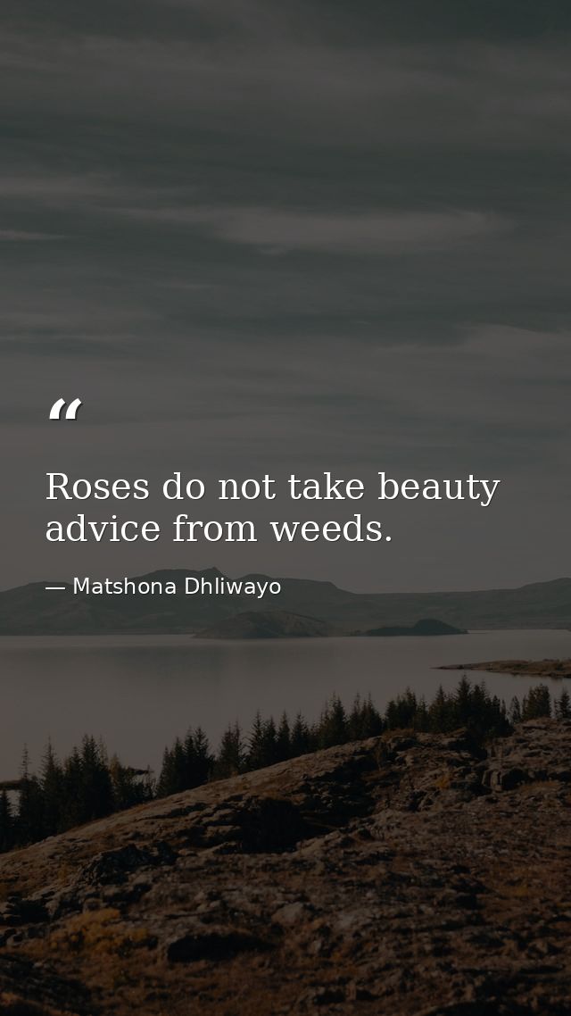 Roses do not take beauty advice from weeds. — Matshona Dhliwayo