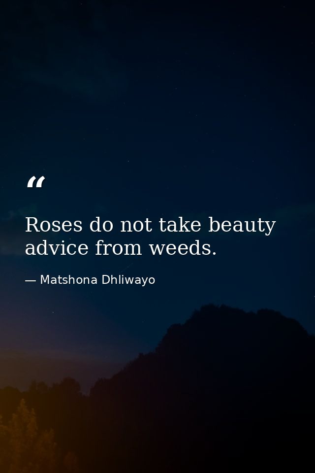 Roses do not take beauty advice from weeds. — Matshona Dhliwayo