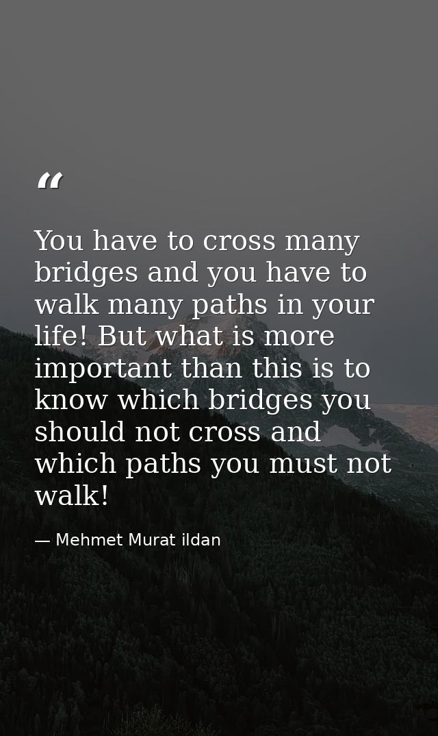 You have to cross many bridges and you have to walk many paths in your life! But what is more important than this is to  — Mehmet Murat ildan