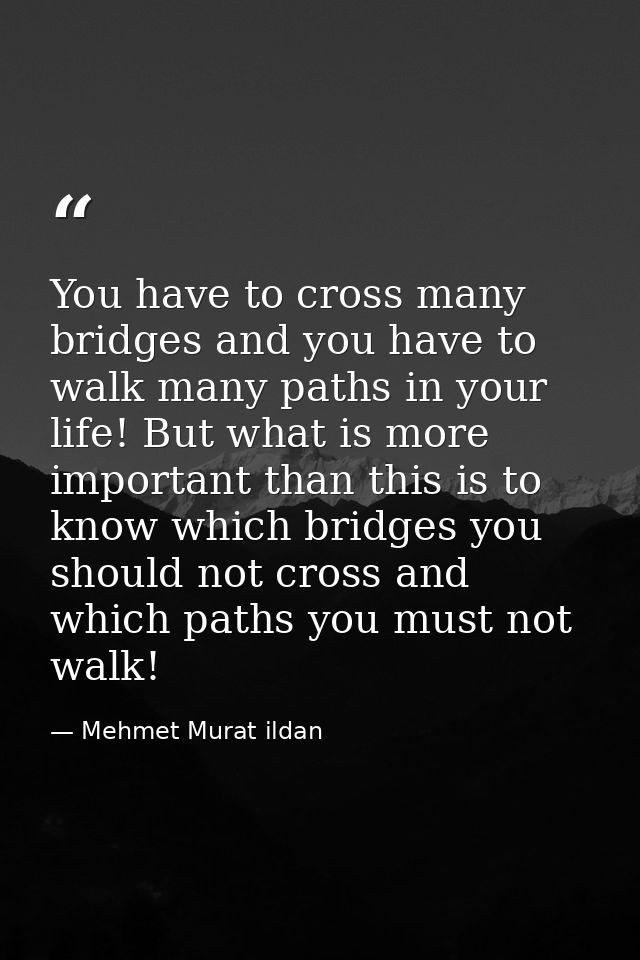 You have to cross many bridges and you have to walk many paths in your life! But what is more important than this is to  — Mehmet Murat ildan
