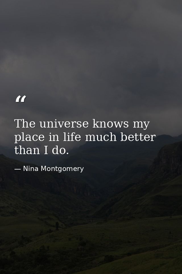 The universe knows my place in life much better than I do. — Nina Montgomery