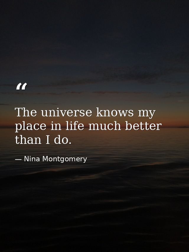 The universe knows my place in life much better than I do. — Nina Montgomery